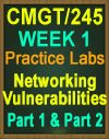 CMGT/245 WEEK 1 Networking vulnerabilities